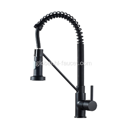 Single Lever Kitchen Tap Spring Dual Spout Mixer Sprayer Sink Tap Supplier